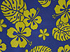 Lagoon Hibiscus Pattern