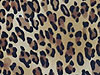 Leopard Pattern