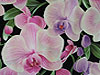 Orchid Pattern